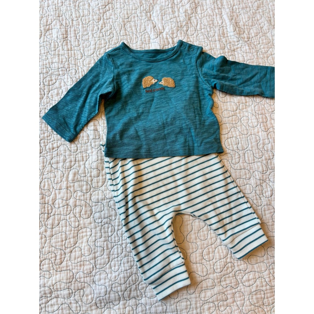 Cloud Island Baby 0-3‎ Months Hedgehog Best Friends Top and Striped Leggings Set